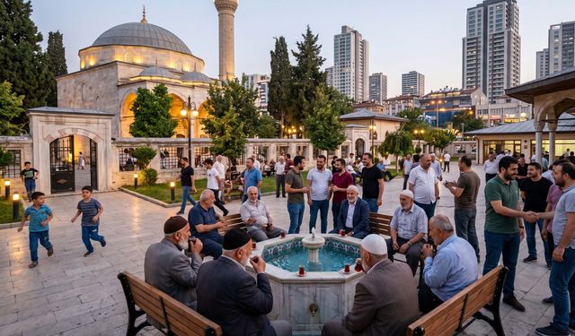 İnceleme - Araştırma